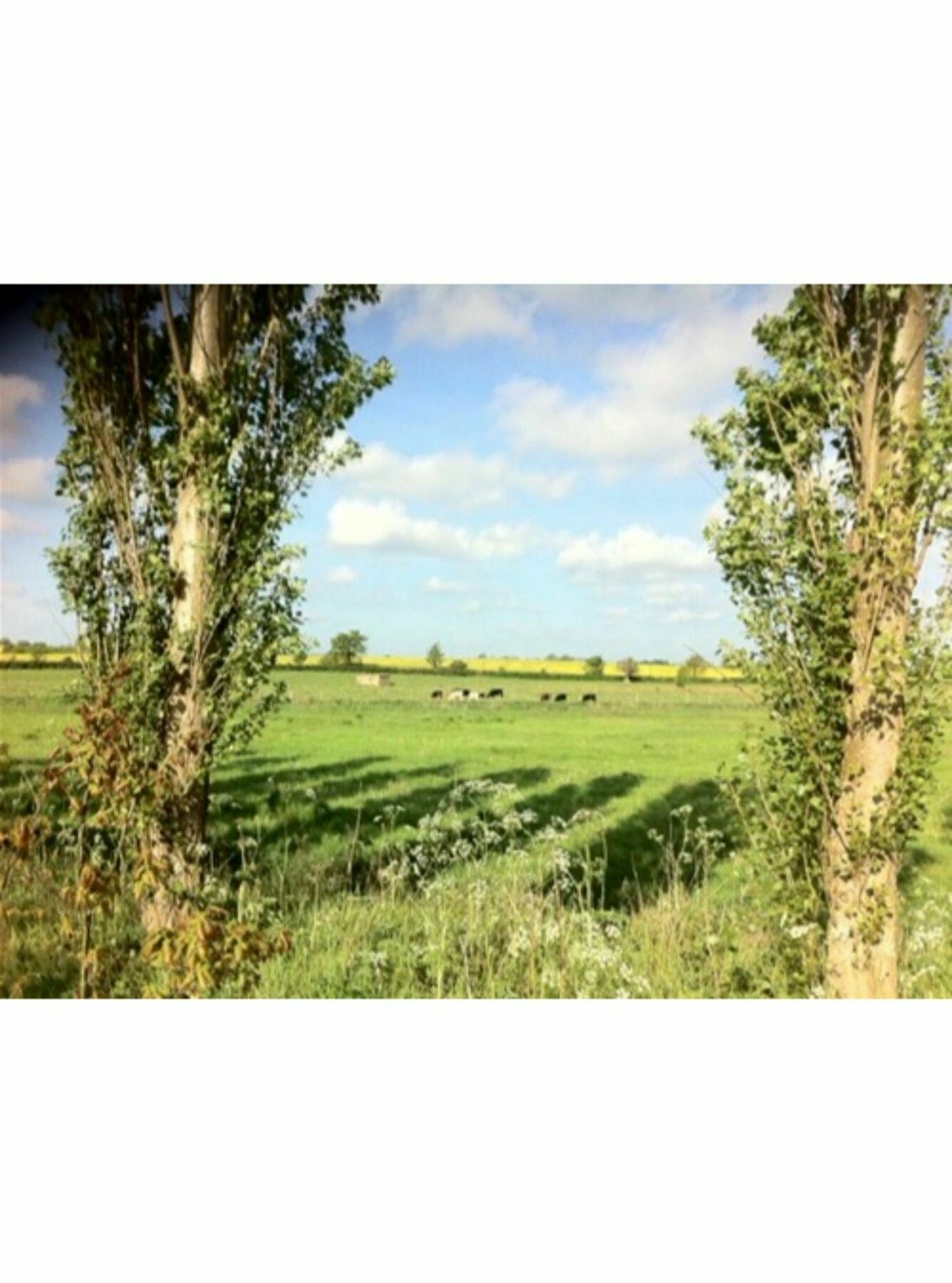 Long Melford Accommodation, Old Stables Екстер'єр фото